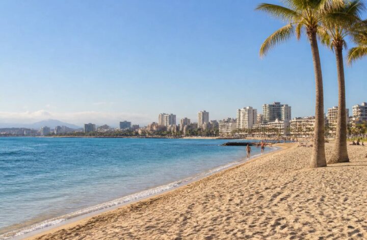 Zonnig strand met palmbomen als realistische sfeerfoto voor het vergelijken van vakanties